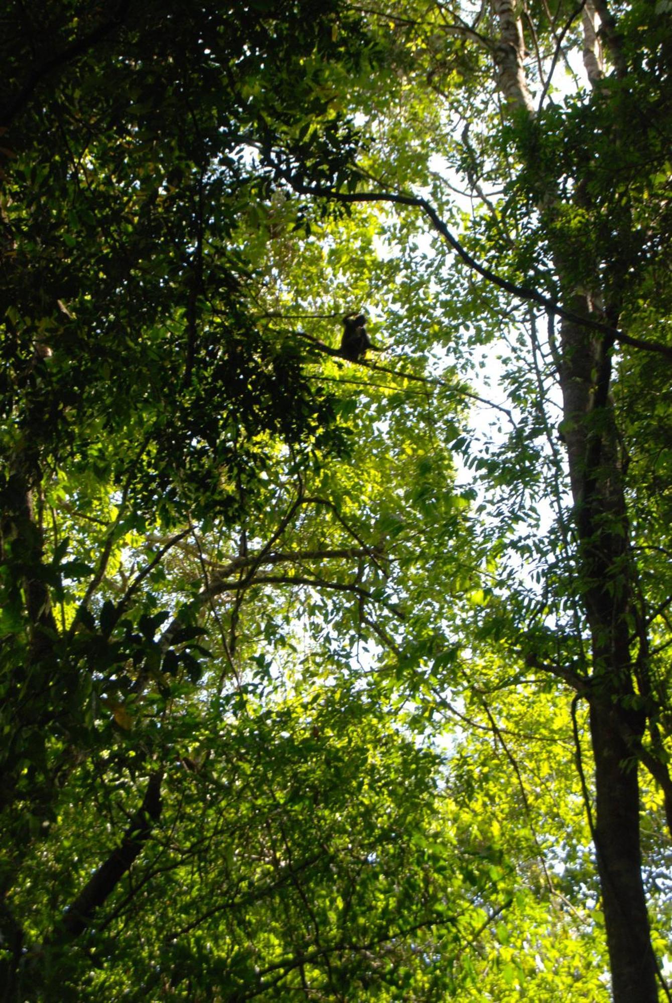 Finca Vallescondido El Caobano Buitenkant foto